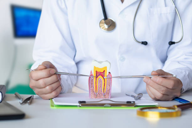 Best Emergency Denture Repair in Purcell, OK